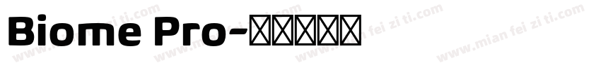 Biome Pro字体转换